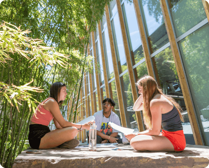 Students studying