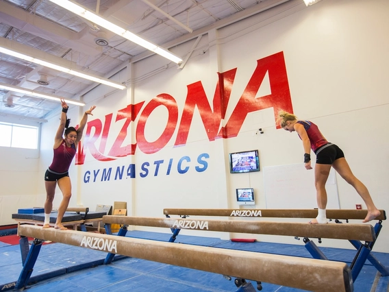 Gymnasts at the University of Arizona