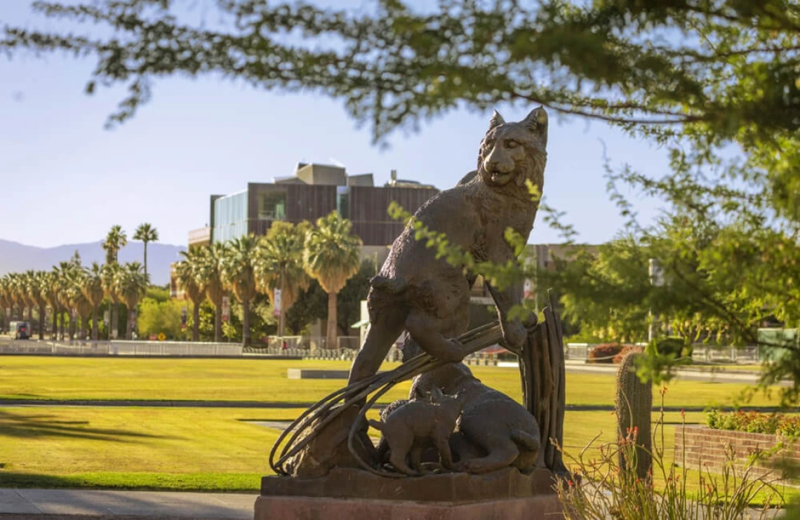 Bobcat statue on the UArizona campus