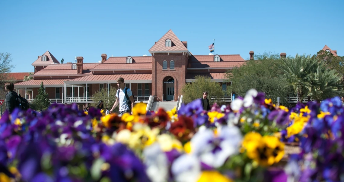 Flowers planted on the University of Arizona campus